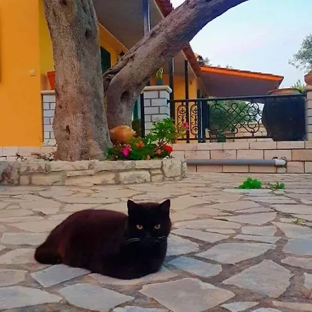 Villa Raxi Fountana Экстерьер фото