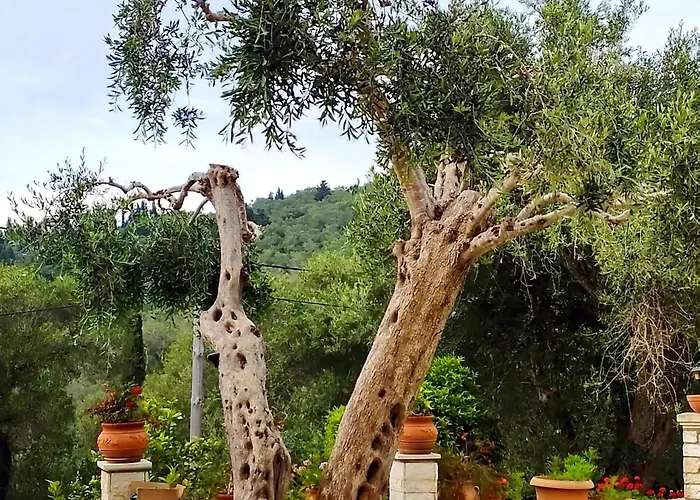 Villa Raxi